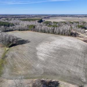 Photo #2 of Off Fork Rd, Tyner, NC 27.0 acres