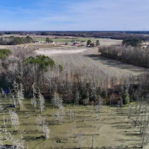 Photo #7 of Off Fork Rd, Tyner, NC 27.0 acres