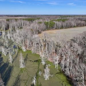 Photo #11 of Off Fork Rd, Tyner, NC 27.0 acres