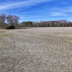 Photo #21 of Off Fork Rd, Tyner, NC 27.0 acres