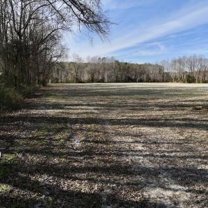 Photo #23 of Off Fork Rd, Tyner, NC 27.0 acres