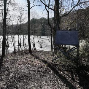 Photo #24 of Off Fork Rd, Tyner, NC 27.0 acres