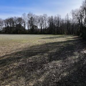 Photo #27 of Off Fork Rd, Tyner, NC 27.0 acres
