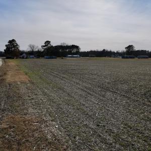 Photo #28 of Off Fork Rd, Tyner, NC 27.0 acres