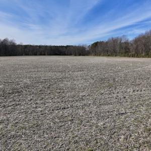 Photo #29 of Off Fork Rd, Tyner, NC 27.0 acres
