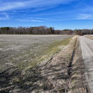 Photo #30 of Off Fork Rd, Tyner, NC 27.0 acres