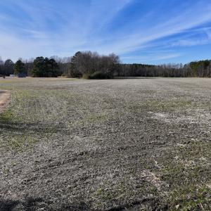 Photo #31 of Off Fork Rd, Tyner, NC 27.0 acres
