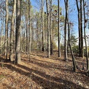 Photo #32 of Off Fork Rd, Tyner, NC 27.0 acres