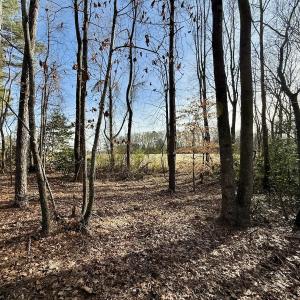 Photo #33 of Off Fork Rd, Tyner, NC 27.0 acres