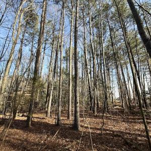 Photo #34 of Off Fork Rd, Tyner, NC 27.0 acres