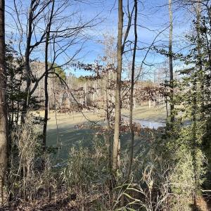 Photo #35 of Off Fork Rd, Tyner, NC 27.0 acres