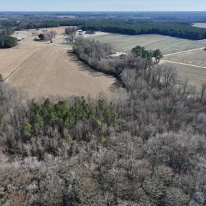 Photo #11 of 431 Icaria Rd, Tyner, NC 72.0 acres