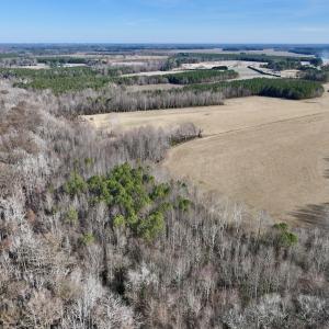 Photo #12 of 431 Icaria Rd, Tyner, NC 72.0 acres