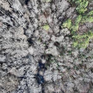 Photo #13 of 431 Icaria Rd, Tyner, NC 72.0 acres