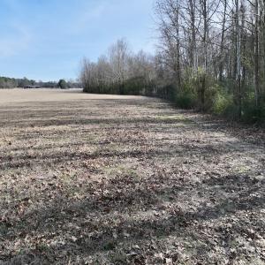 Photo #14 of 431 Icaria Rd, Tyner, NC 72.0 acres