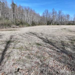 Photo #15 of 431 Icaria Rd, Tyner, NC 72.0 acres