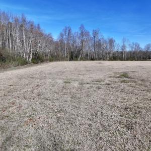 Photo #16 of 431 Icaria Rd, Tyner, NC 72.0 acres