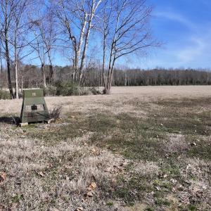 Photo #19 of 431 Icaria Rd, Tyner, NC 72.0 acres