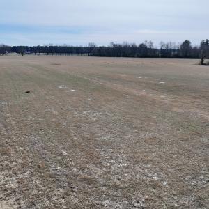 Photo #23 of 431 Icaria Rd, Tyner, NC 72.0 acres