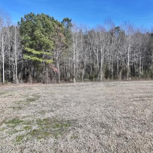 Photo #24 of 431 Icaria Rd, Tyner, NC 72.0 acres