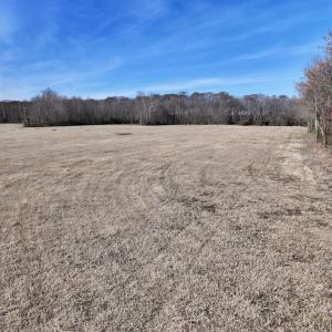 Photo #25 of 431 Icaria Rd, Tyner, NC 72.0 acres