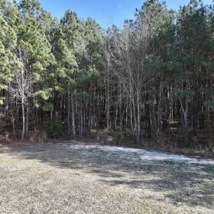 Photo #26 of 431 Icaria Rd, Tyner, NC 72.0 acres