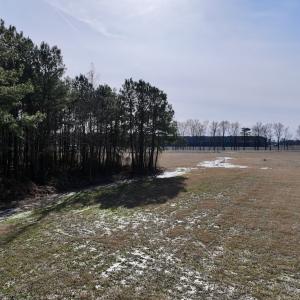 Photo #27 of 431 Icaria Rd, Tyner, NC 72.0 acres