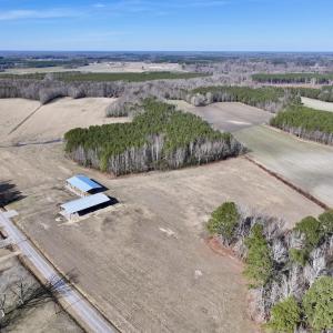 Photo #3 of 431 Icaria Rd, Tyner, NC 72.0 acres