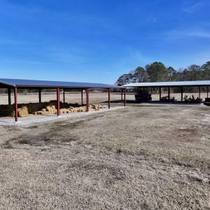 Photo #33 of 431 Icaria Rd, Tyner, NC 72.0 acres