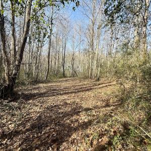 Photo #38 of 431 Icaria Rd, Tyner, NC 72.0 acres
