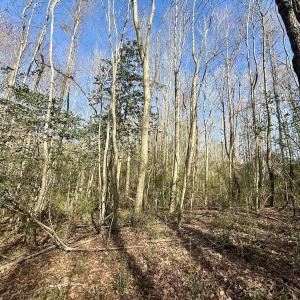 Photo #39 of 431 Icaria Rd, Tyner, NC 72.0 acres