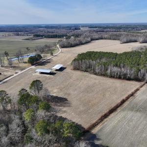 Photo #5 of 431 Icaria Rd, Tyner, NC 72.0 acres