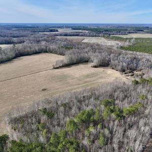 Photo #7 of 431 Icaria Rd, Tyner, NC 72.0 acres