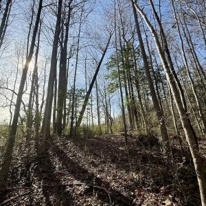 Photo #41 of 431 Icaria Rd, Tyner, NC 72.0 acres