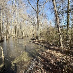 Photo #44 of 431 Icaria Rd, Tyner, NC 72.0 acres