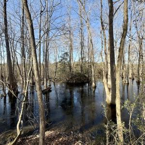 Photo #47 of 431 Icaria Rd, Tyner, NC 72.0 acres