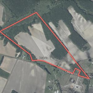 Photo #56 of 431 Icaria Rd, Tyner, NC 72.0 acres