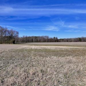 Photo #6 of 221 Yellow Hammer RD, Chowan, NC 0.9 acres