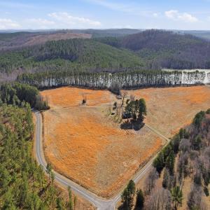 Photo #3 of 1347 Newsome Road, Denton, NC 34.8 acres