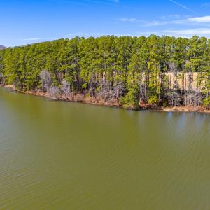 Photo #8 of 1347 Newsome Road, Denton, NC 34.8 acres