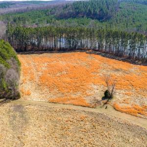 Photo #13 of 1347 Newsome Road, Denton, NC 34.8 acres