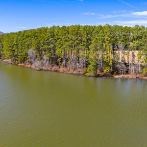 Photo #8 of 1347 Newsome Road, Denton, NC 34.8 acres