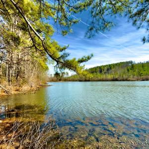 Photo #11 of 1347 Newsome Road, Denton, NC 34.8 acres