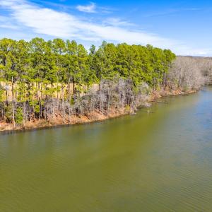 Photo #17 of 1347 Newsome Road, Denton, NC 34.8 acres