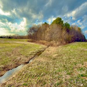 Photo #8 of Off Cauble Rd, Mt. Pleasant, NC 20.0 acres