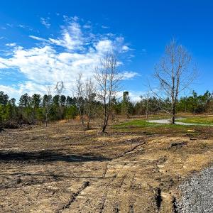 Photo #10 of Off Of Waqua Creek Rd, Rawlings, VA 12.7 acres