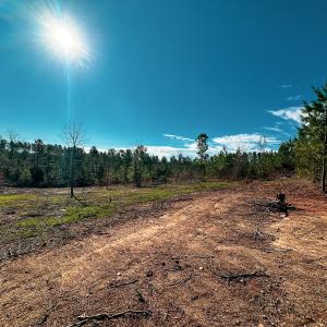 Photo #16 of Off Of Waqua Creek Rd, Rawlings, VA 12.7 acres