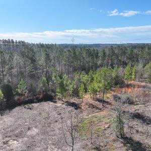 Photo #17 of Off Of Waqua Creek Rd, Rawlings, VA 12.7 acres