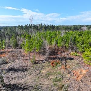 Photo #18 of Off Of Waqua Creek Rd, Rawlings, VA 12.7 acres