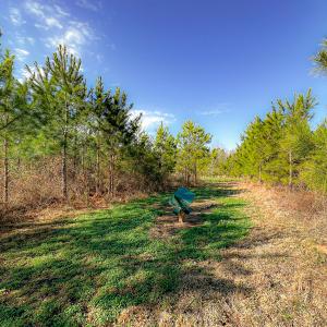 Photo #22 of Off Of Waqua Creek Rd, Rawlings, VA 12.7 acres